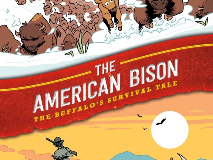 American Bison cover
